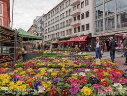 Deretan Hasil Jepretan 4 Kamera Huawei P30 Pro