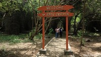 Di balik keindahannya, Pulau Flores menyimpan jejak geologi sejak jutaan tahun lalu. Bagi kamu yang ingin tahu, bisa mampir ke Gua Batu Cermin di Labuan Bajo (Randy/detikcom) 