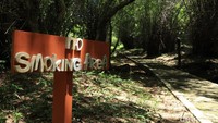 Untuk menuju dalam gua, kamu harus trekking 200 meter dulu dari pintu masuk (Randy/detikcom)