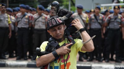 Ada Edukasi Soal Monyet Lho di CFD