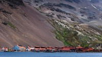 Seabad yang lalu inilah bagian dari industri brutal yang mengubah Georgia Selatan menjadi pusat perburuan paus Atlantik Selatan dan kulit anjing laut. Tetapi saat ini alam perlahan-lahan merebutnya kembali (Shafik Meghji/BBC Travel)