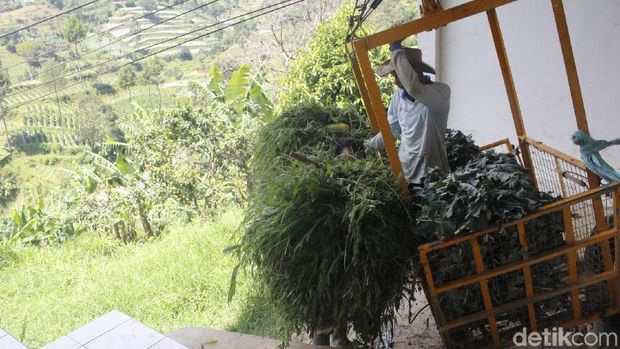 Warga Suntenjaya Lembang Gunakan Gondola Angkut Sayuran