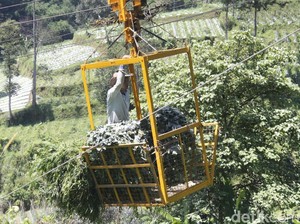 Inovatif, Petani Suntenjaya Lembang Angkut Sayuran Pakai Gondola