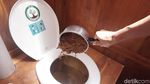 Unik! Toilet Ini Gantikan Air dengan Serbuk Gergaji, Ceboknya Gimana Ya?