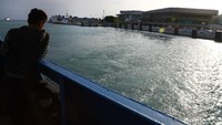 Di area dermaga kapal-kapal yang beroperasi hanya kapal eksekutif. Kapal itu akan menempuh perjalanan laut dari Merak di Banten ke Bakauheni di Lampung hanya 1 jam.