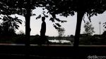 Taman Kreatif Rawa Badak di Jakut Asri Banget