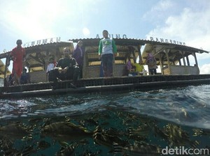 Besok, Menteri Susi Buka Banyuwangi Underwater Festival
