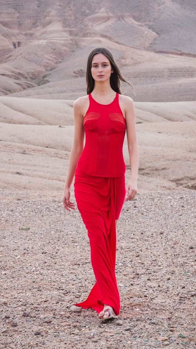 Karya busana Didit juga pernah dipakai artis dunia. Penyanyi Carly Rae Jepsen di ajang MTV Video Music Awards Jepang 2013 mengenakan gaun rancangan Didit yang diambil dari koleksi Fall 2012 Couture. Foto: Dok. Didit Hediprasetyo