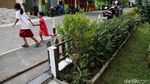 Taman Kreatif Rawa Badak di Jakut Asri Banget