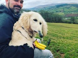 Foto Panorama Gagal Bikin Hewan Terlihat Lucu