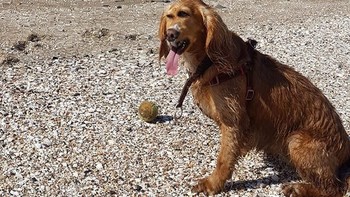 Matanya jadi aneh ya. Foto: sadanduseles