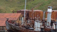 Kamp perburuan paus ada di Stromness Bay, ujung teluk Georgia Selatan. Yang tersisa yakni sekelompok bangunan besi yang bobrok berkarat dan kapal-kapal karamnya (Shafik Meghji/BBC Travel)