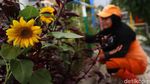 Taman Kreatif Rawa Badak di Jakut Asri Banget