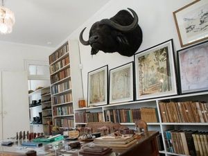 Pusat Pelestarian Novelis Ernest Hemingway Kini Berdiri di Havana