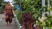 Dipenuhi banyak tanaman hijau, taman ini terlihat sangat asri.