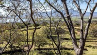 Dari kejauhan, piramida itu tampak seperti bukit (iStock)