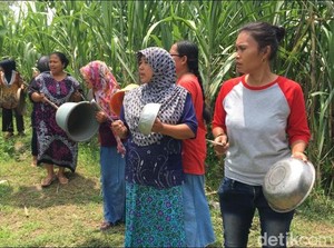 Warga Gelar Ritual Buk-buk Neng Cari Tukang Pijat yang Hilang di Sungai