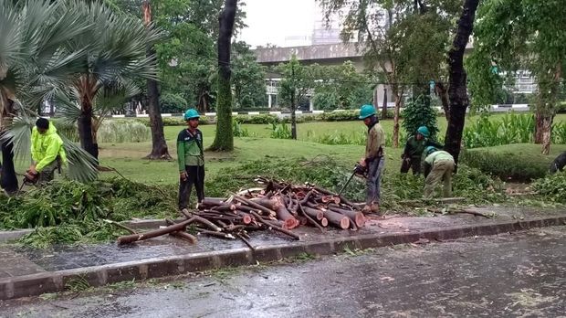 Pohon tumbang menutupi ruas jalan di kolong Semanggi.