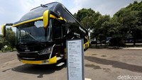 United Tractors menawarkan dua model bus Scania yaitu K360IB-4X2 dan K410IB-6X2. Tipe body yang digunakan mulai dari Super High Deck, Ultra High Deck dan Double Deck.