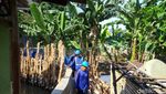 Foto News: Jebol Lagi Bangun Lagi Tanggul Jatipadang Jaksel
