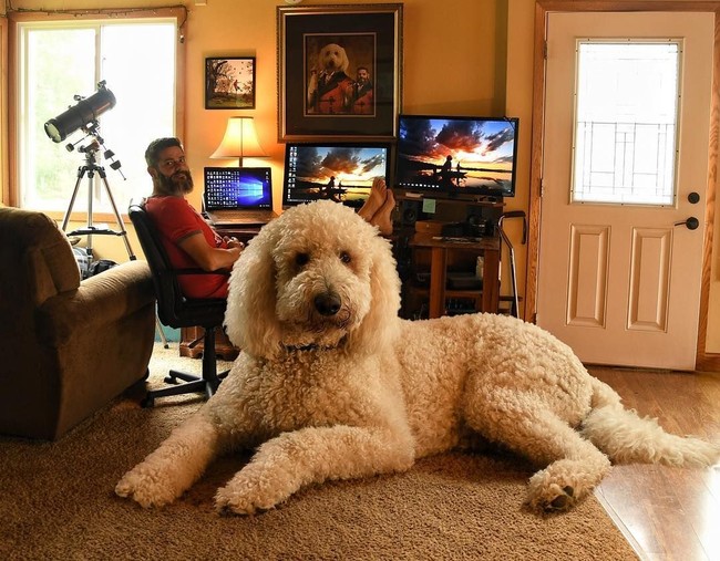 Pada foto-foto yang tersebar, Chris dan Juji tampak sering bermain bersama. Meski bertubuh raksasa, Jujji terlihat sangat lucu dan menggemaskan seperti boneka. Foto: Dok. Instagram @christophercline