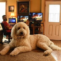 Pada foto-foto yang tersebar, Chris dan Juji tampak sering bermain bersama. Meski bertubuh raksasa, Jujji terlihat sangat lucu dan menggemaskan seperti boneka. Foto: Dok. Instagram @christophercline