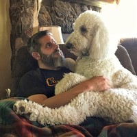 Anjing seringkali menjadi sahabat manusia. Banyak orang yang menyayangi anjing seperti anaknya sendiri seorang pria bernama Christopher Cline yang tinggal di Minnesota, Amerika Serikat. Foto: Dok. Instagram @christophercline