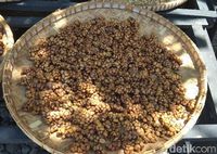 Usai Berwisata ke Candi Pawon Bisa Nyeruput Kopi Luwak di Kafe Ini