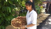 Usai Berwisata ke Candi Pawon Bisa Nyeruput Kopi Luwak di Kafe Ini