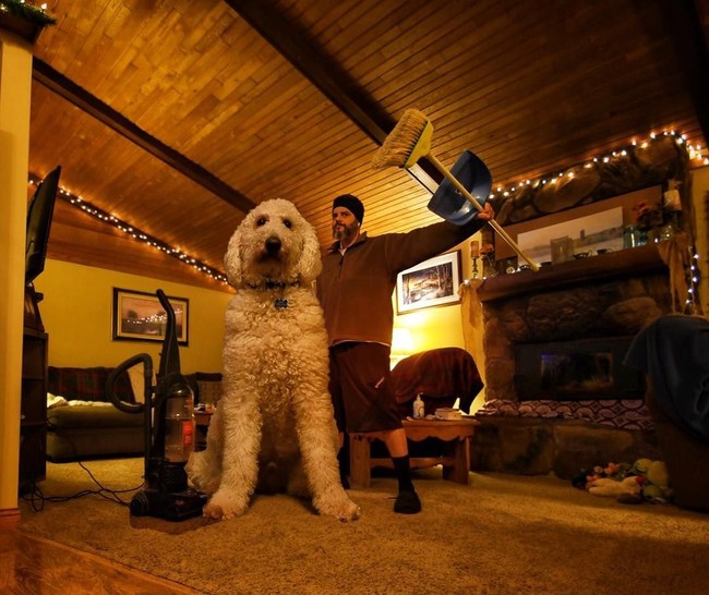 Christopher merupakan seorang foto editor. Ia mengedit fotonya bersama Juji hingga sang anjing terlihat sangat besar, dengan tinggi tiga meter. Foto: Dok. Instagram @christophercline