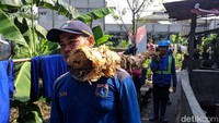 Pancang dan kayu dipasang untuk tanggul sementara. Petugas segera membangun tanggul permanen dengan fondasi yang lebih kuat. (Foto: Jeffrie/detikcom)