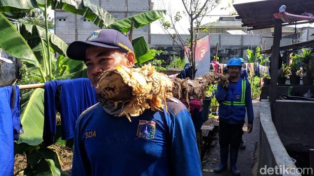Tanggul Jati Padang Jebol Lagi, Petugas Pasang Pancang dan Kayu