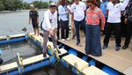 Mengintip Susi Lepas Hiu hingga Paddling di Banyuwangi
