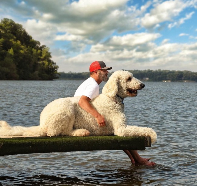 Hal itu sudah ia mulai sejak tahun 2016. Chris pun viral dan mendapat banyak followers di Instagram. Foto: Dok. Instagram @christophercline