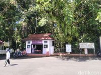 Konon Batu Besar di Ciamis Ini Tak Bisa Dihancurkan