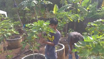 Informasi dan Berita Peluang Usaha Terbaru