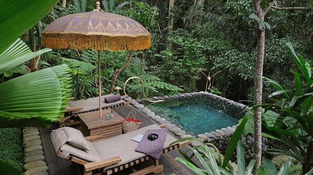 Ada Hotel Mewah di Tengah Rimbunnya Hutan Ubud