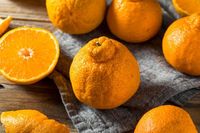 'Sumo Citrus', Jeruk Berukuran Jumbo Tanpa Biji yang Manis Segar
