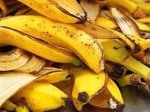 Kulit Pisang Bisa Jadi Alternatif Pulled Pork Versi Vegan