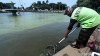 Air kolam tampak kotor dan penuh lumut.