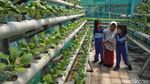 RPTRA Kamal Bahari Jadi Tempat Favorit Anak-anak Bermain