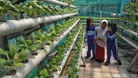 RPTRA Kamal Bahari dilengkapi pula dengan kebun hidroponik mini yang rutin dirawat petugas. Keberadaan kebun ini menjadi salah satu daya tarik bagi anak-anak untuk mengenal dan mempelajari tanaman hidroponik.