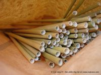 Keren! Ada Sedotan Ramah Lingkungan Berbahan Rumput Liar Vietnam