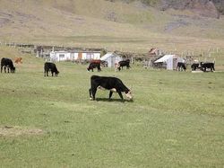 Melihat Pemukiman Manusia Paling Terpencil di Bumi