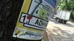 Duh,... APK Caleg Ini Kok Masangnya di Pepohonan Ibu Kota