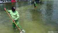 Mereka membersihkan lumut yang mengendap di dasar kolam.