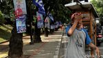Duh,... APK Caleg Ini Kok Masangnya di Pepohonan Ibu Kota