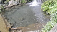  Objek wisata ini memiliki keunggulan kolam yang airnya berasal dari mata air pegunungan alami (Yudha Maulana/detikcom) 