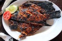 5 Tempat Makan Di Kawasan Pajajaran Yang Punya Kopi Dan 5 Tempat Makan Di Kawasan Pajajaran Yang Punya Kopi Dan