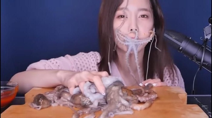 makan gurita hidup